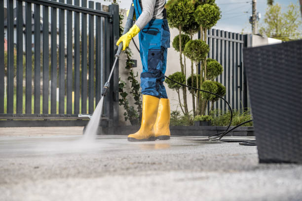 Best Roof Power Washing Services  in North Mankato, MN