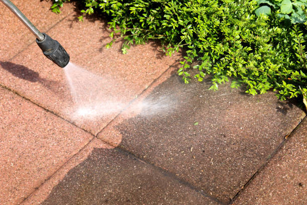 Best Sidewalk Pressure Washing  in North Mankato, MN